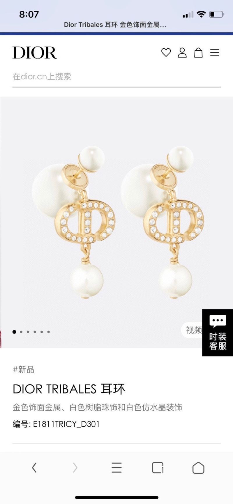 Christian Dior Earrings